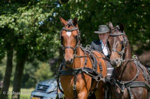 dressuur en vaardigheid  nienoord 10-8-2015  joshua keller-0370     